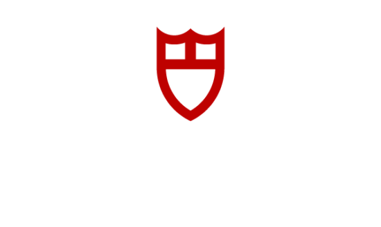 Logo TUDOR